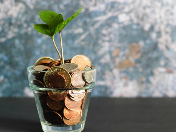 A photo of coins inside a small glass with a plant sprout coming out in the middle